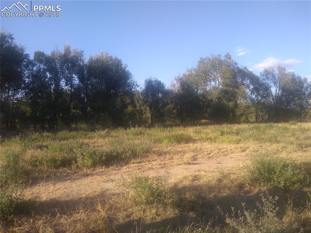 2814 Fountain Boulevard - Photo 1