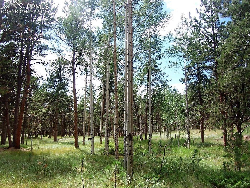 681 Skyline Drive - Photo 1
