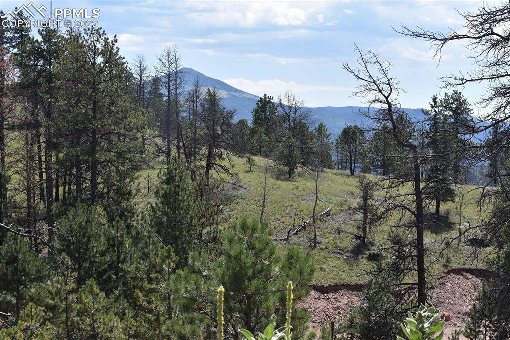 11 Chapparal Trail - Photo 1