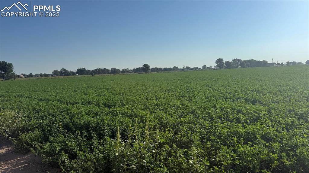 Lot C Manning Road - Photo 1