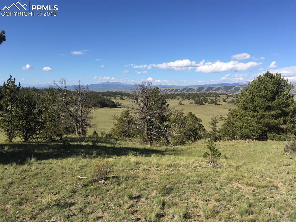 945 Homestead Road - Photo 1