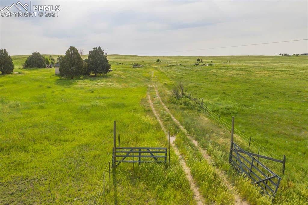 16245 Peyton Highway - Photo 1
