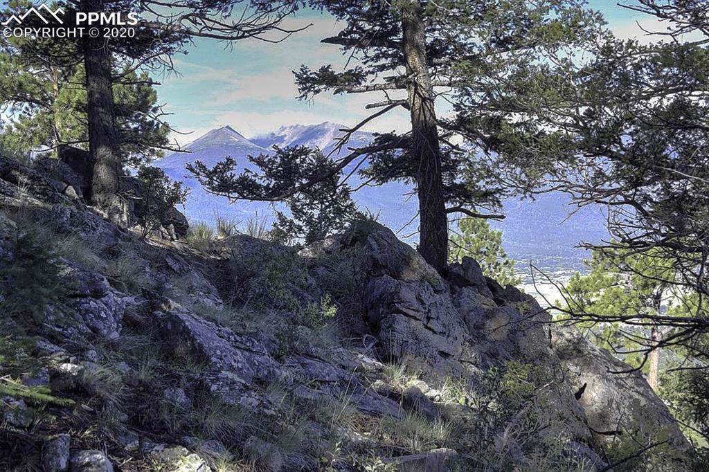 TBD Pheasant Loop - Photo 1