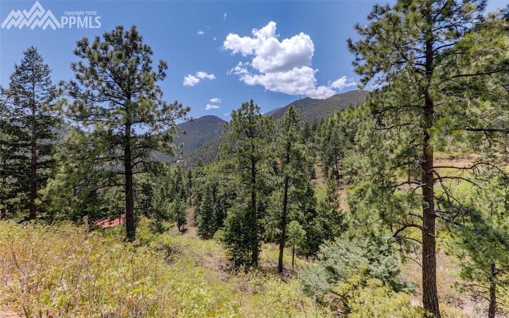 1352 Upper Sun Valley Lane - Photo 1