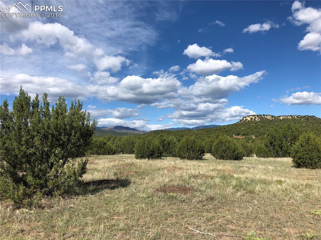 0 Red Creek Springs Road - Photo 1