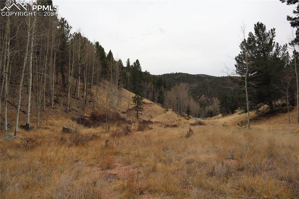 1600 Pikes Peak Drive - Photo 1