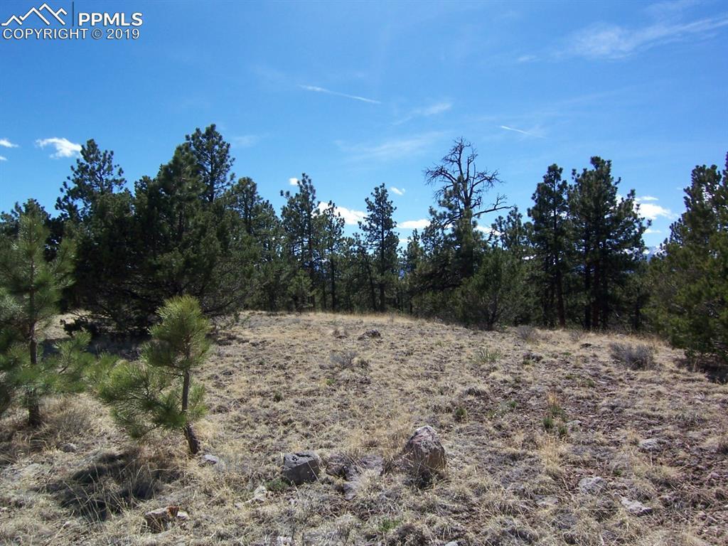 TBD County Road 29 - Photo 1