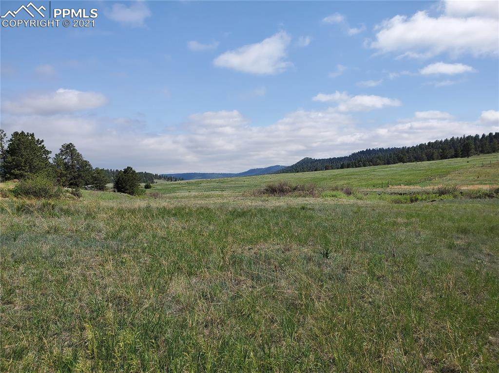 466 Spring Valley Drive - Photo 1