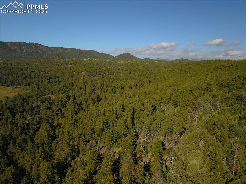 19S Old Crow Path - Photo 1