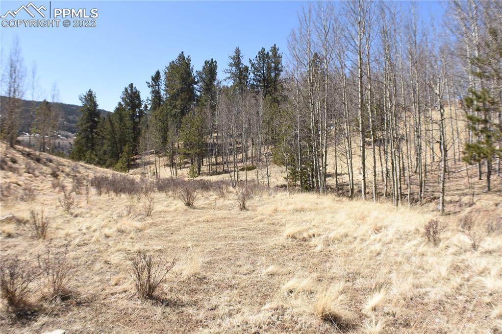 212 Wolftone Drive - Photo 1