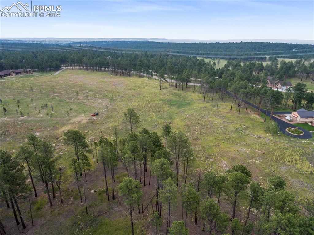 14854 Snowy Pine Point - Photo 1