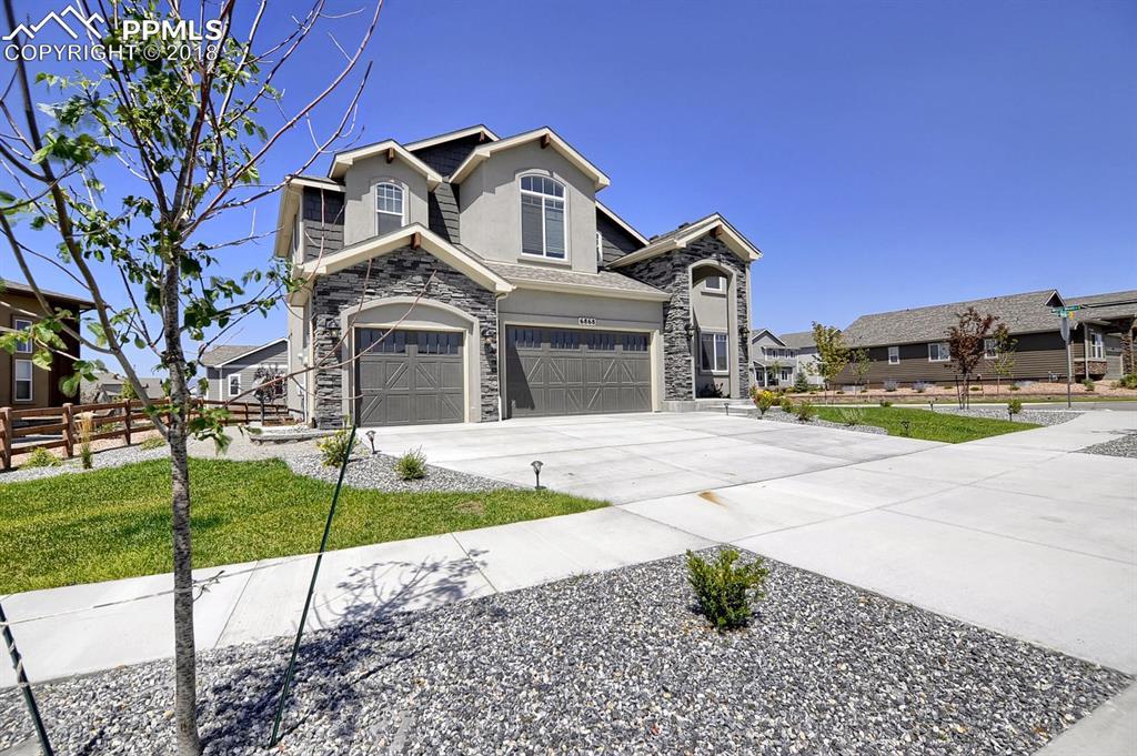 6868 Black Saddle Drive - Photo 1