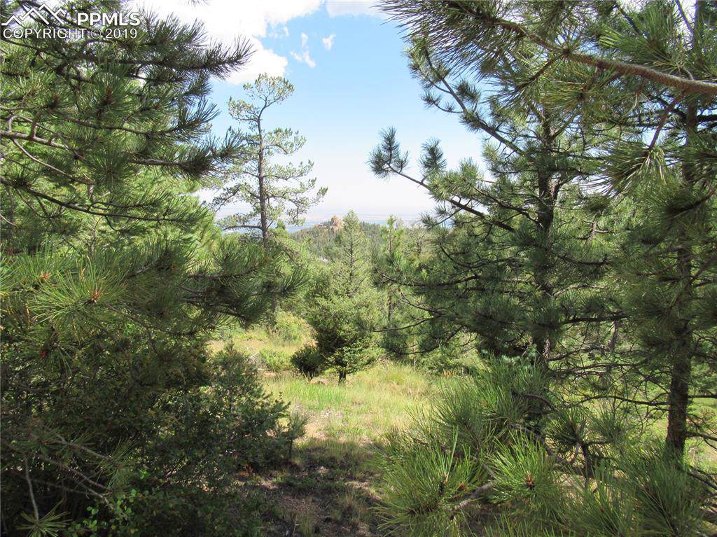 319 Forest Road - Photo 1