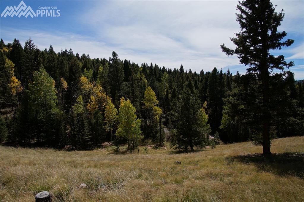 3255 Elk Valley Road - Photo 1