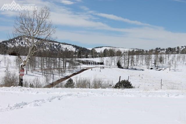 3243 County 86 Road - Photo 1