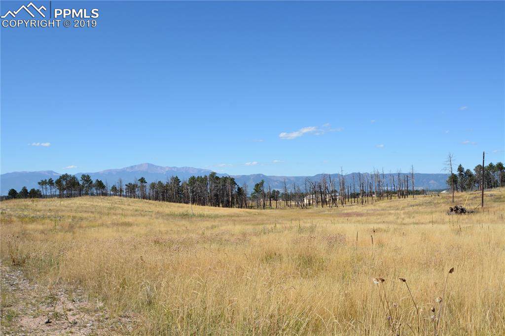 12978 Ward Lane - Photo 1