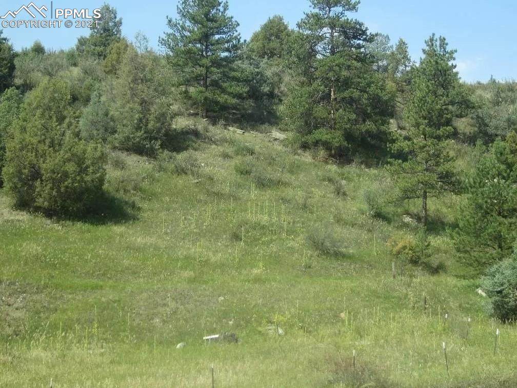 0000 Streamside Drive - Photo 1