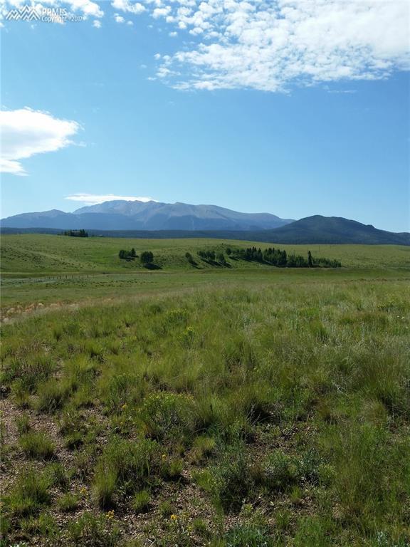 500 Pinaceae Heights - Photo 1