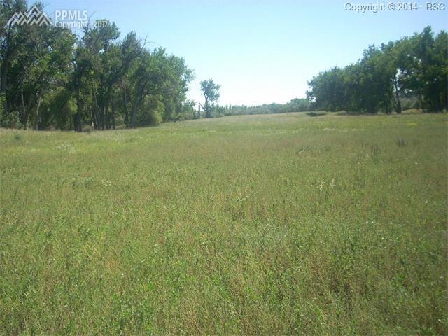 8750 Valley Ranch Point - Photo 1