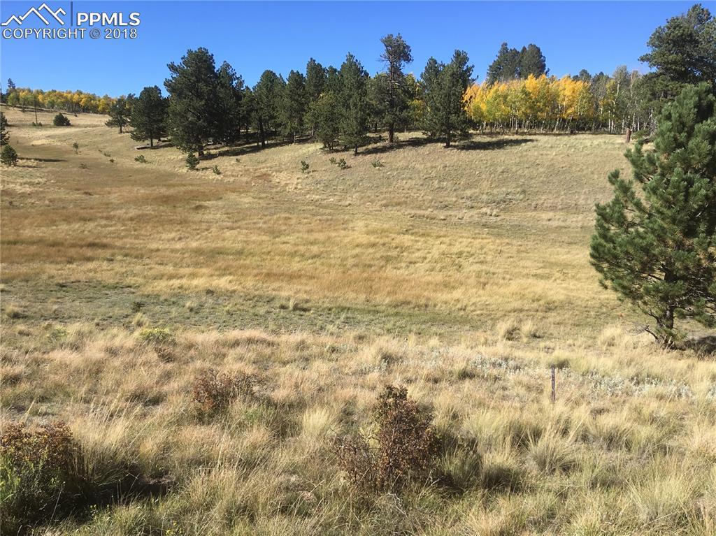 880 Deerview Drive - Photo 1