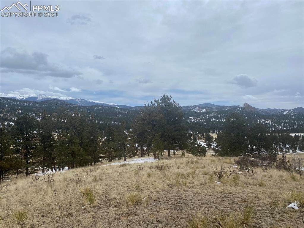 2706 Southpark Road - Photo 1