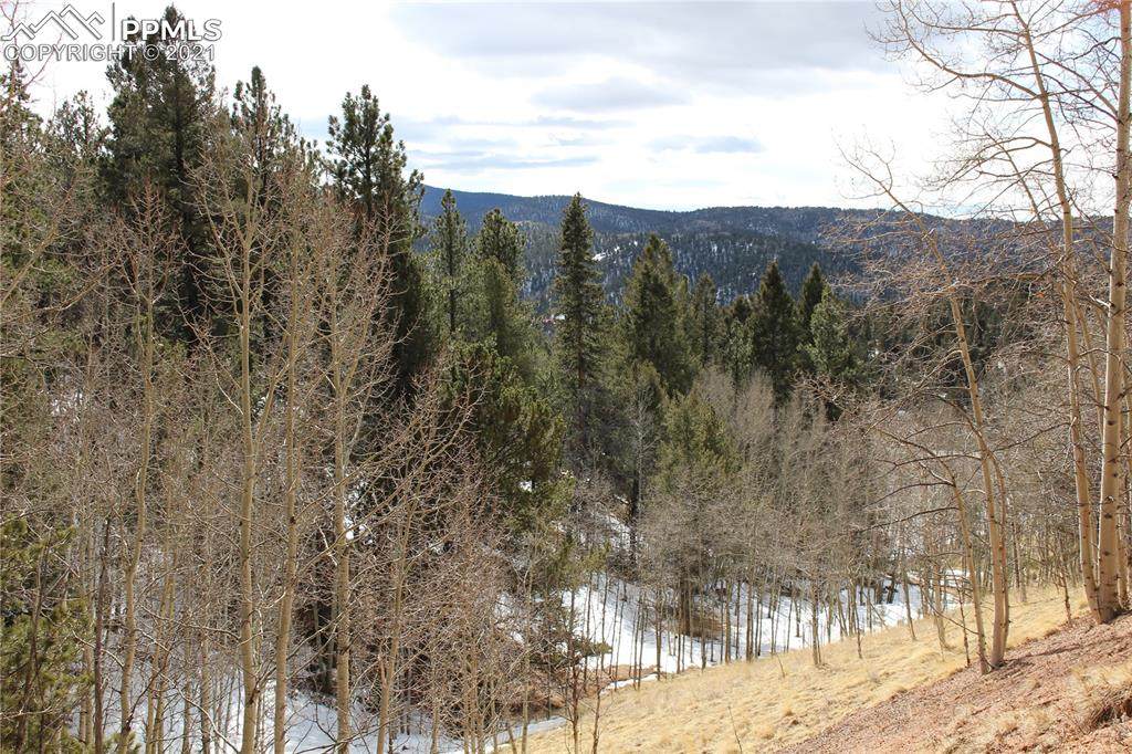 421 Calcite Drive - Photo 1