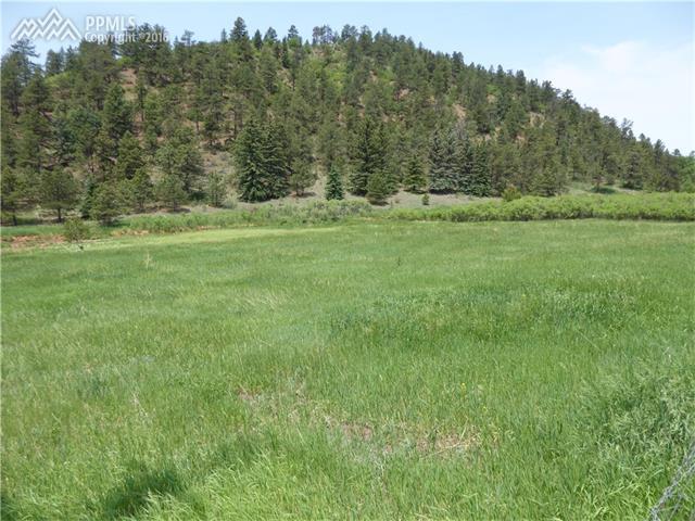 TBD County 21 Road - Photo 1