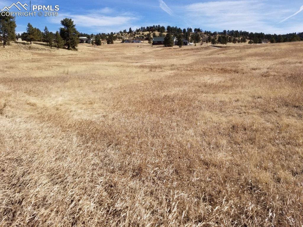 714 Empire Road - Photo 1