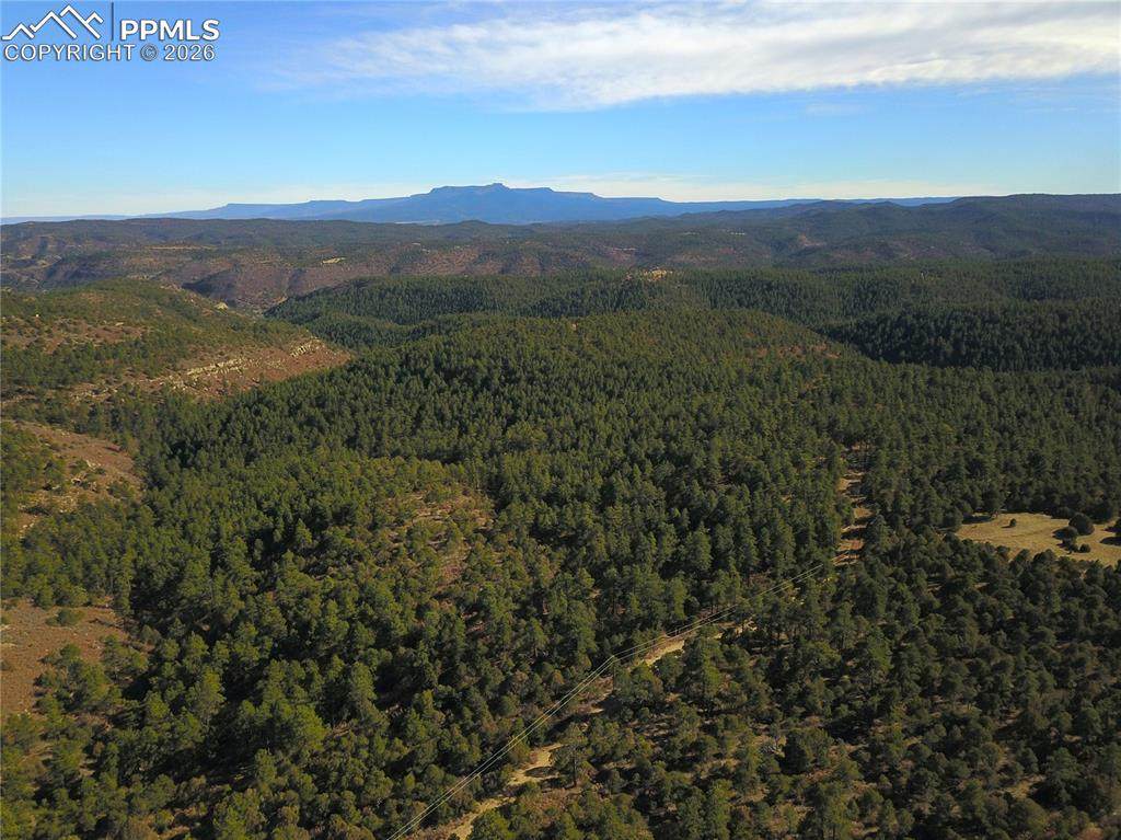 000 Ponderosa Trail - Photo 1