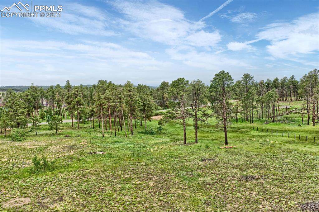 6970 Swan Road - Photo 1