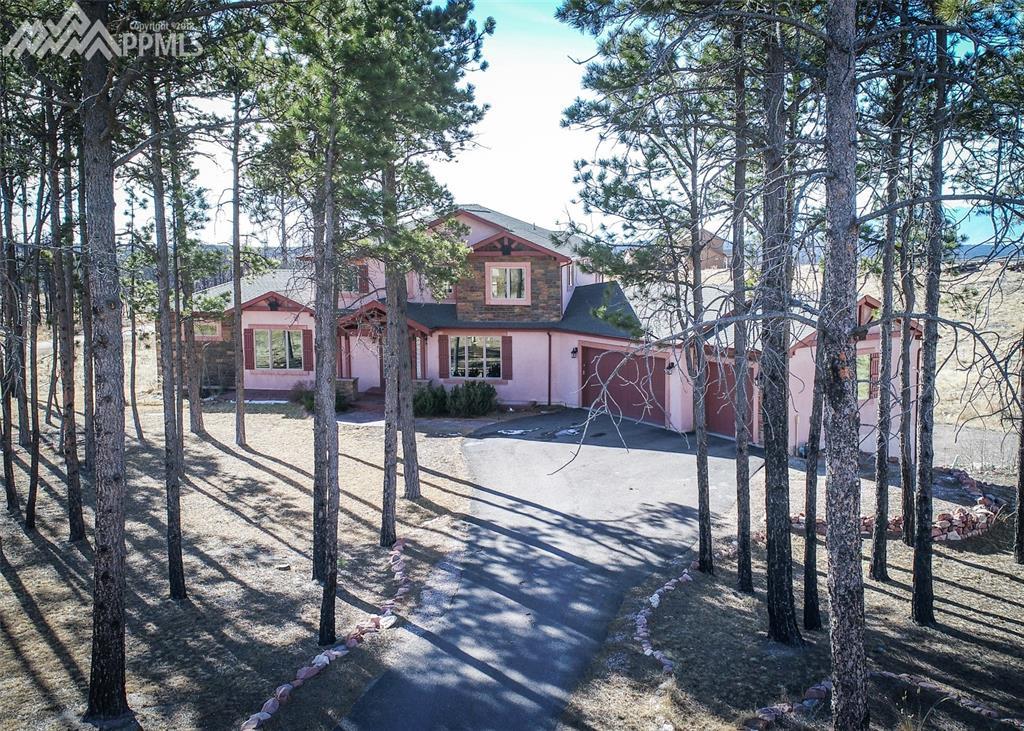 6925 Snow Mass Drive - Photo 1