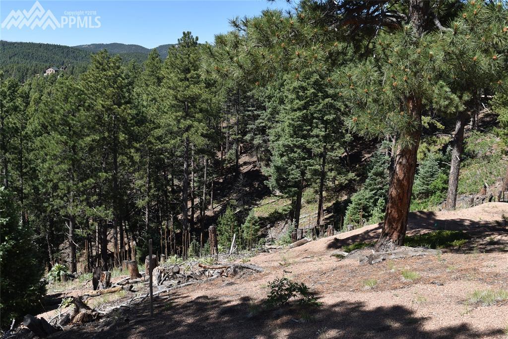 2288 Badger Drive - Photo 1