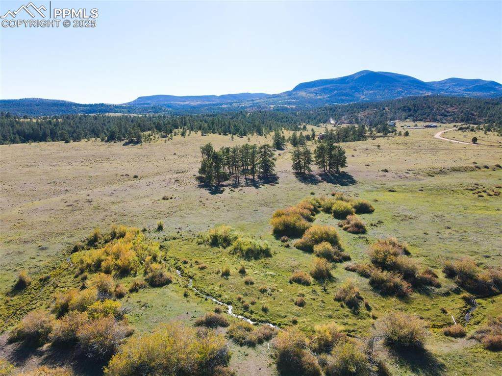  Rosebush Road - Photo 1