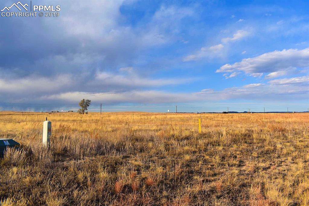 16034 Mccara Court - Photo 1
