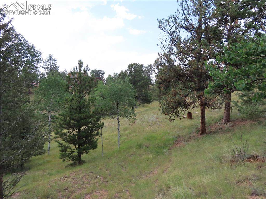 25 Lost Park Circle - Photo 1