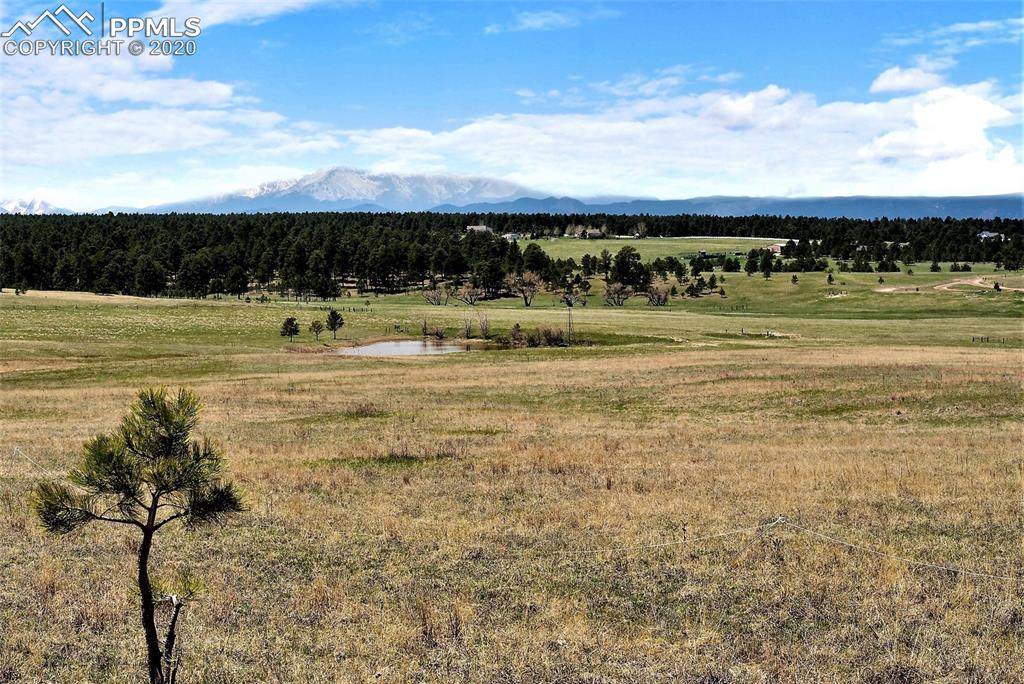 00 Palmer Divide Avenue - Photo 1