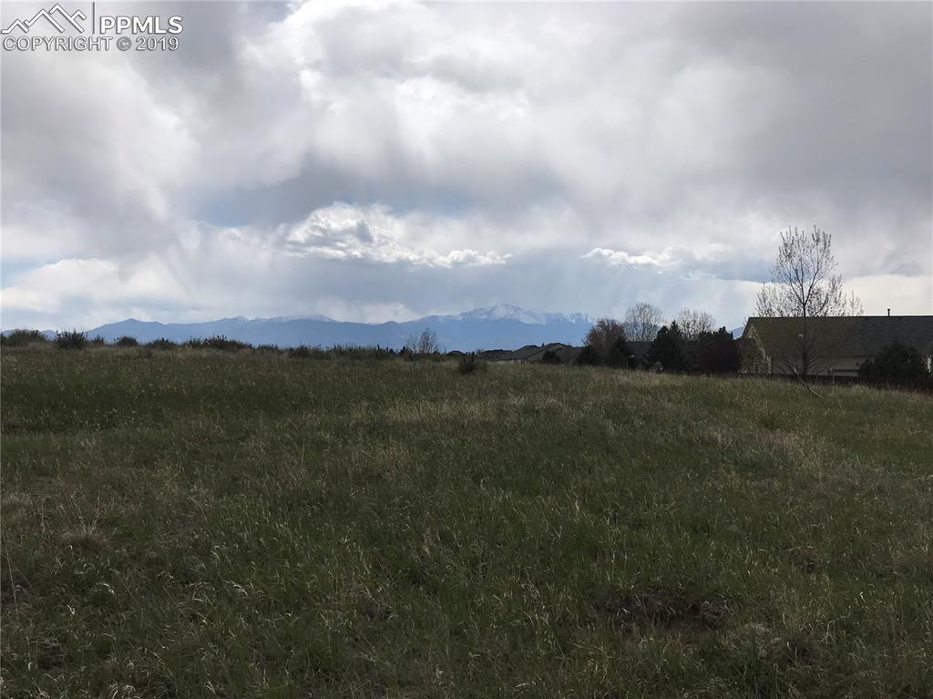 5703 Templeton Gap Road - Photo 1