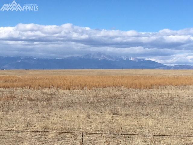 17820 Falcon Highway - Photo 1