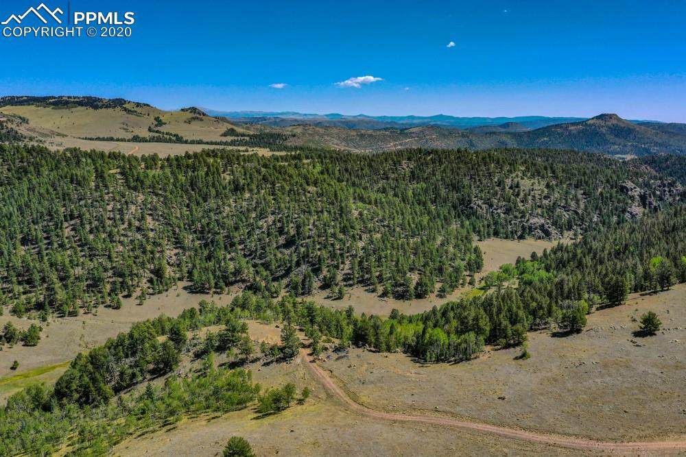 428 Holt Drive - Photo 1