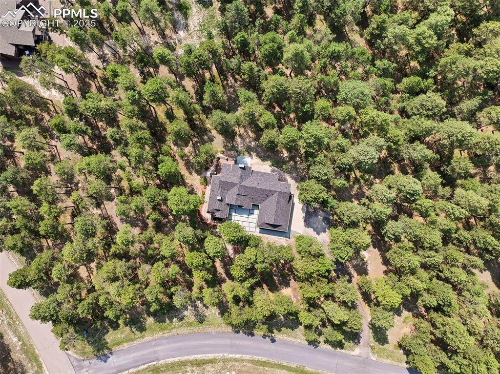 4475 Wavy Oak Drive - Photo 1