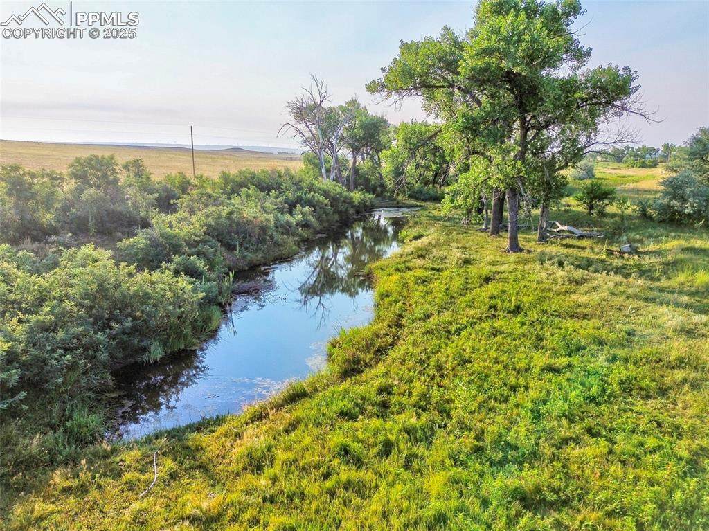 11950 Log Road - Photo 1