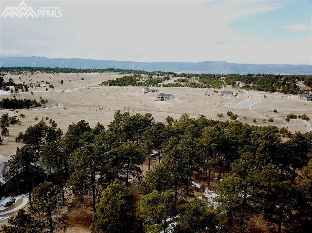 17071 Jackson Ranch Court - Photo 1