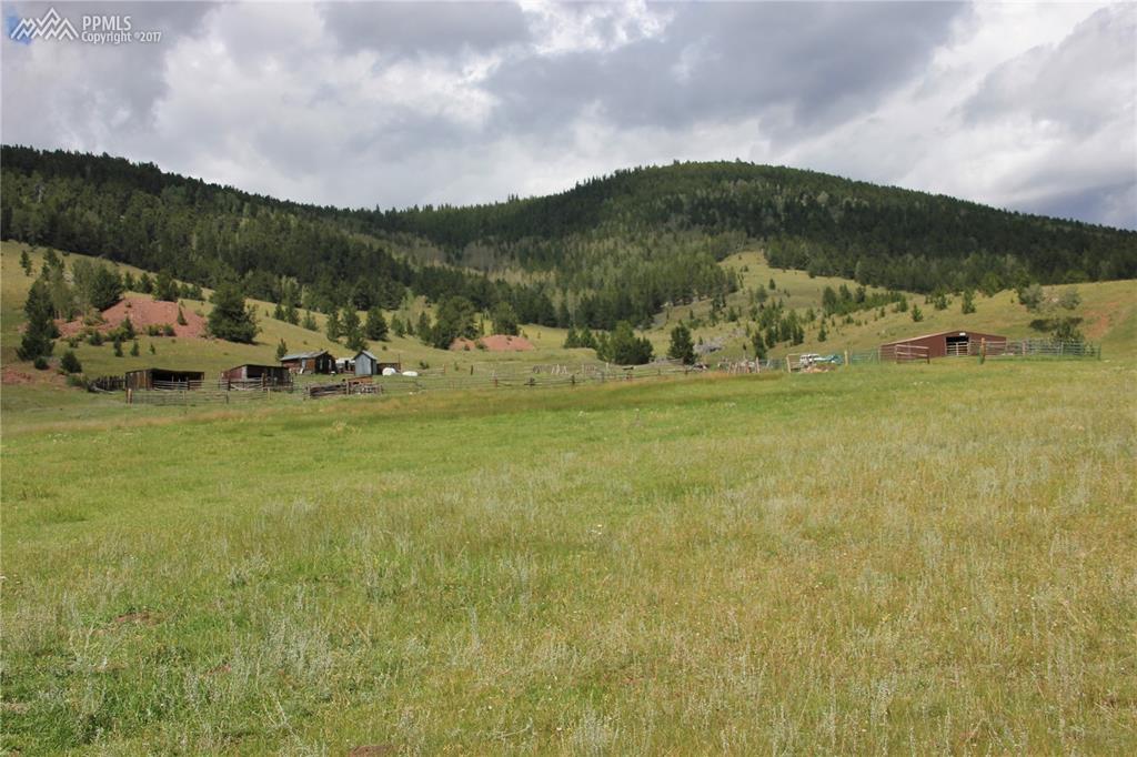 2572 County 861 Road - Photo 1