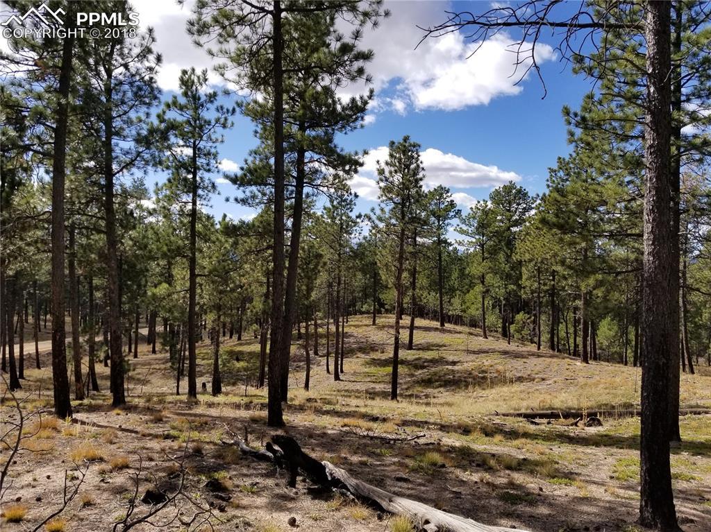 5081 Gold Run Court - Photo 1