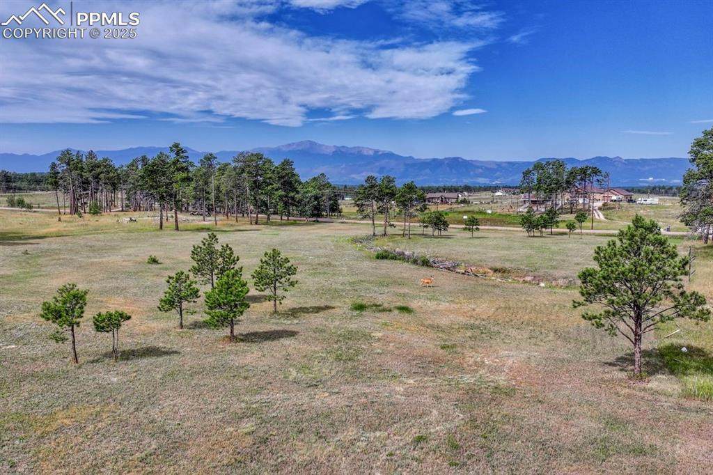 LOT 4 Forest Heights Circle - Photo 1