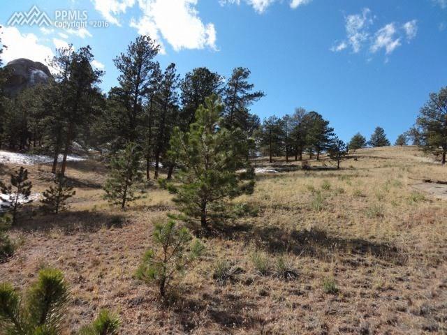 1025 Hackamore Drive - Photo 1