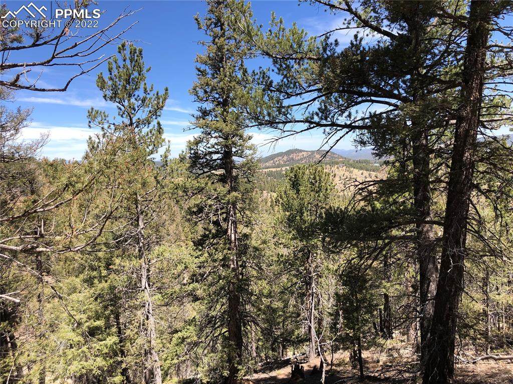 195 & 213 Osoeola Road - Photo 1