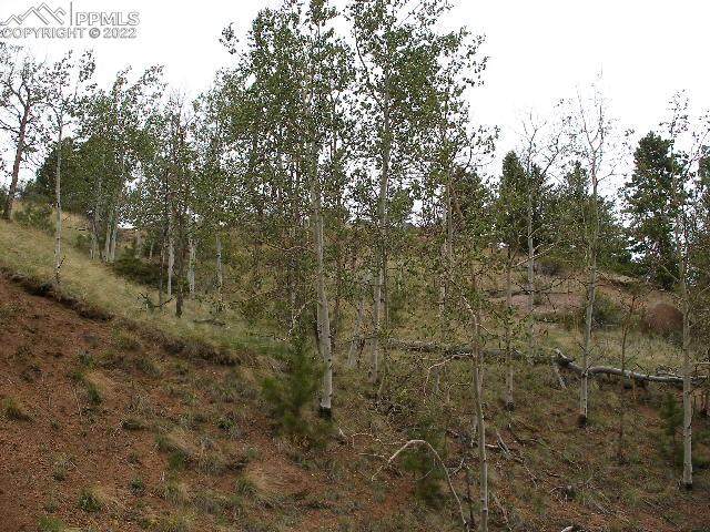 799 Vivenda Road - Photo 1