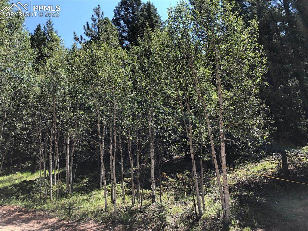 3015 Mountain Estates Road - Photo 1