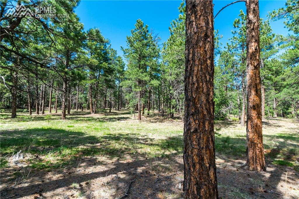 1460 Trumpeters Court - Photo 1